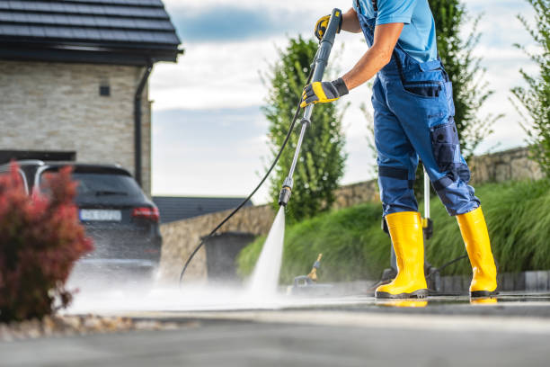 Best Animal Enclosure Cleaning  in Spring Lake, MI